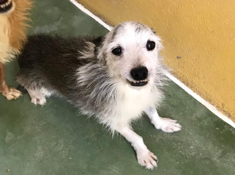 multimedia-foto65168-330-1