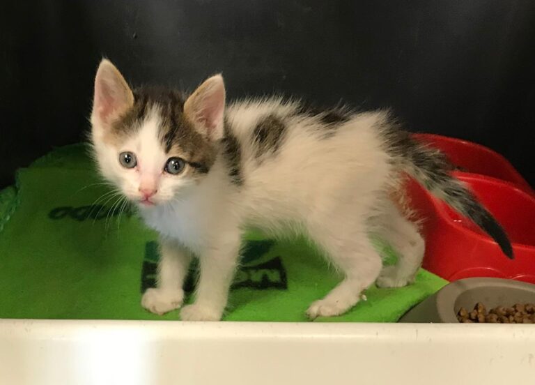 multimedia-foto65313-398-1