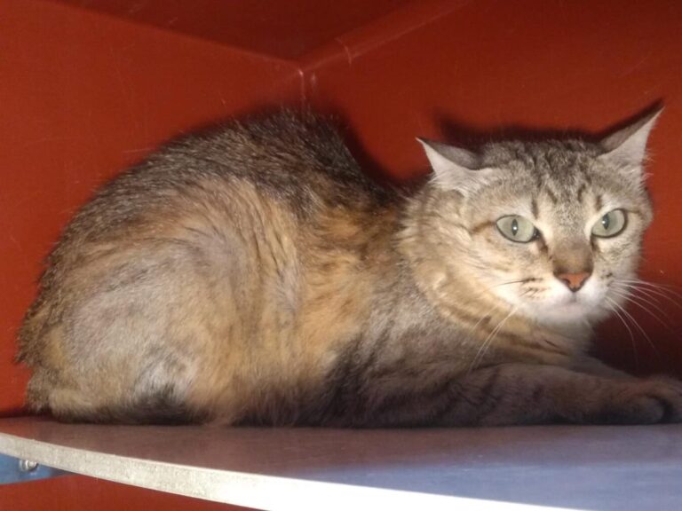 multimedia-foto65329-852-1