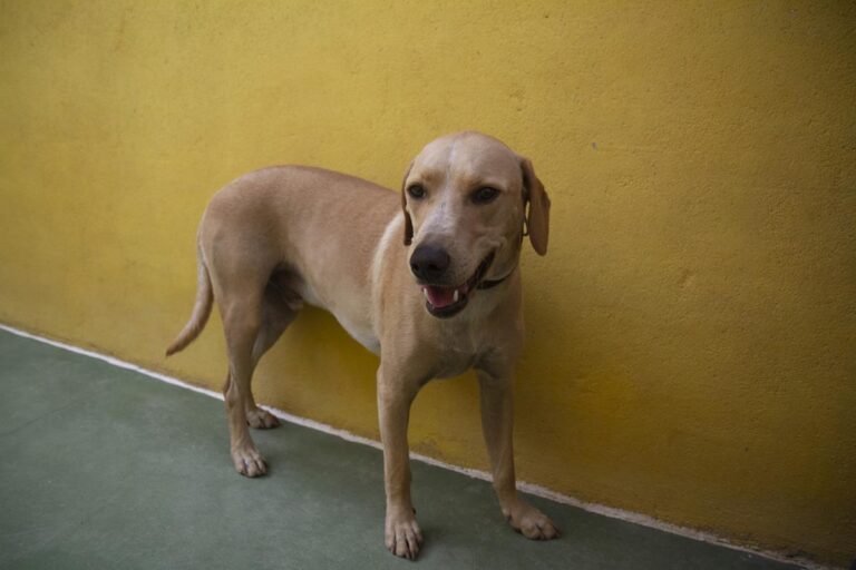 multimedia-foto65338-161-1