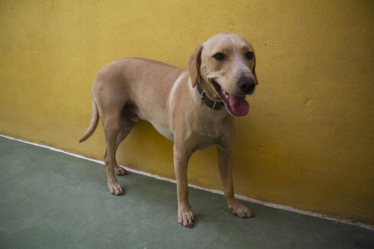 multimedia-foto65339-162-1