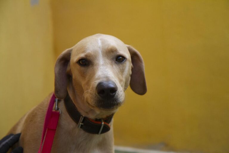 multimedia-foto65340-162-1