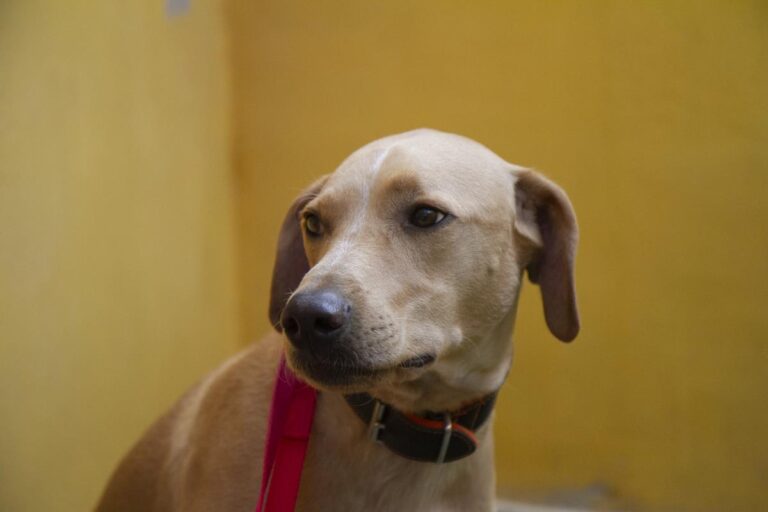 multimedia-foto65341-163-1