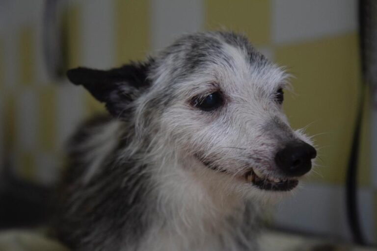 multimedia-foto65346-557-1