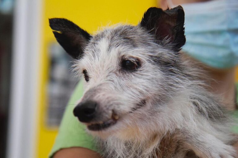 multimedia-foto65348-558-1