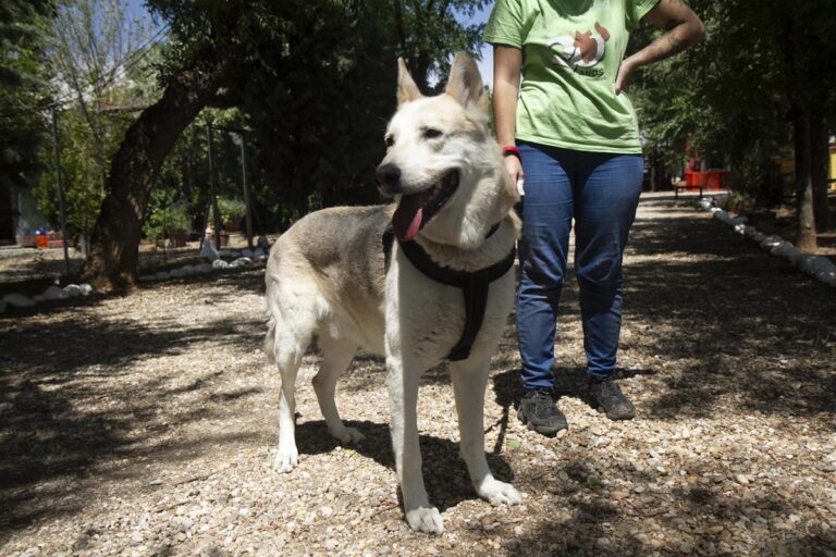 multimedia-foto65357-571-1