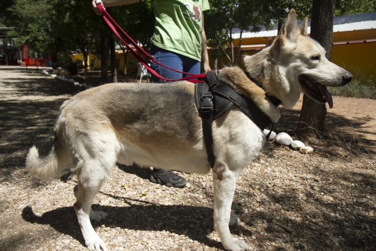 multimedia-foto65358-571-1