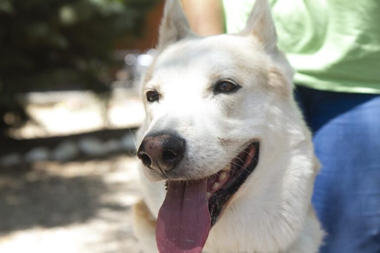 multimedia-foto65360-572-1