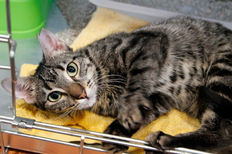 multimedia-foto65410-429-1