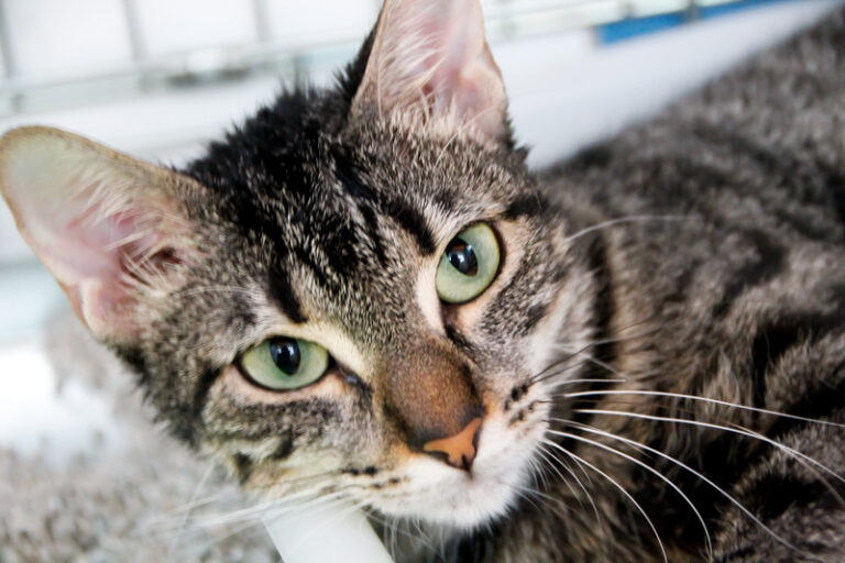 multimedia-foto65411-429-1