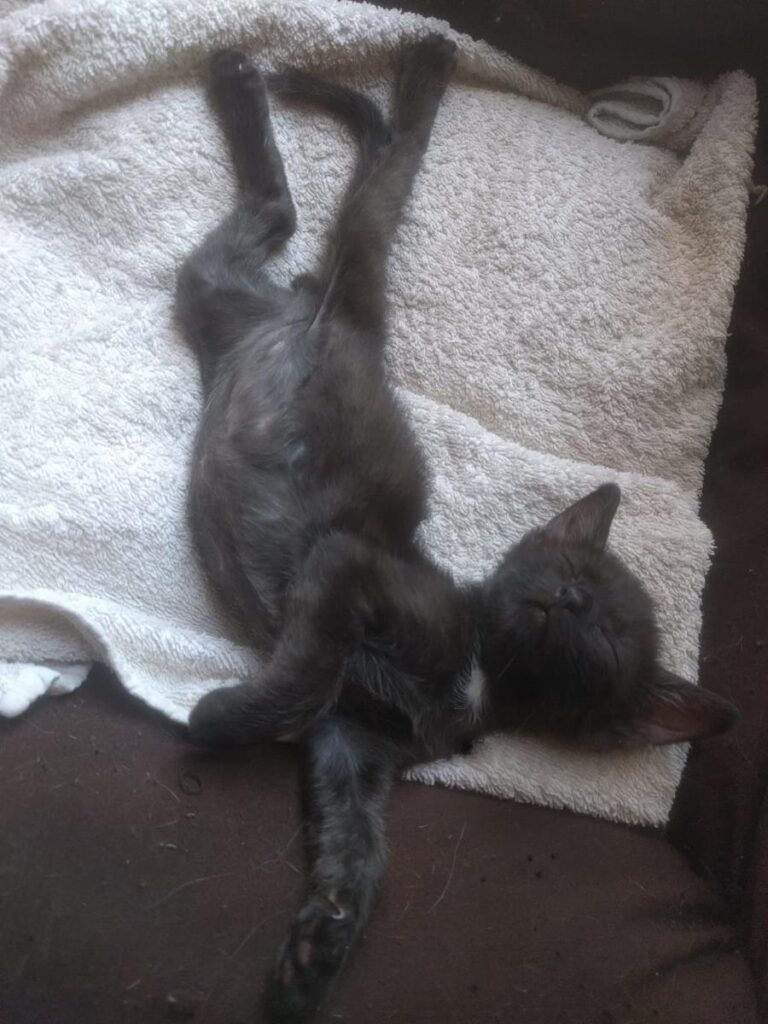 multimedia-foto65435-639-1