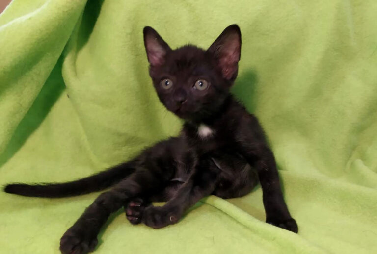 multimedia-foto65436-640-1