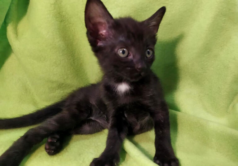 multimedia-foto65438-641-1