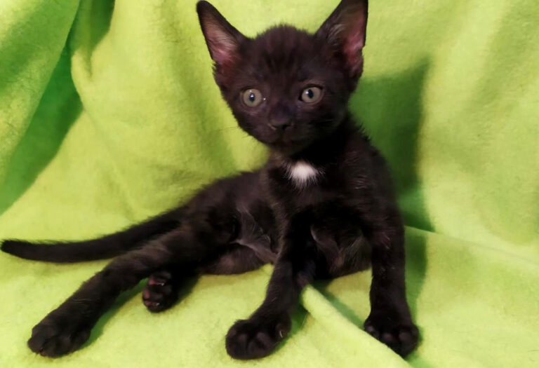 multimedia-foto65439-641-1