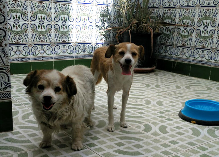 multimedia-foto65463-52-1