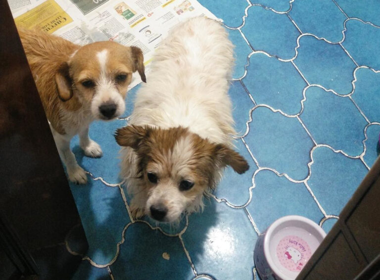 multimedia-foto65469-56-1