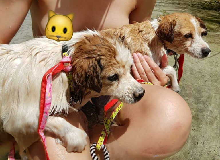 multimedia-foto65471-57-1