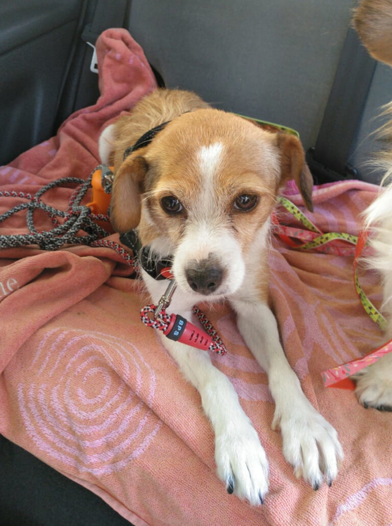 multimedia-foto65472-102-1