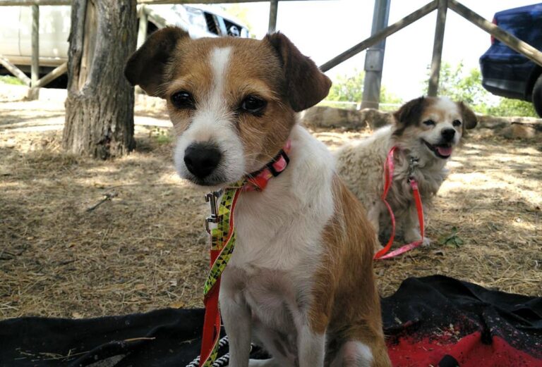 multimedia-foto65473-102-1