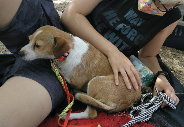 multimedia-foto65475-104-1