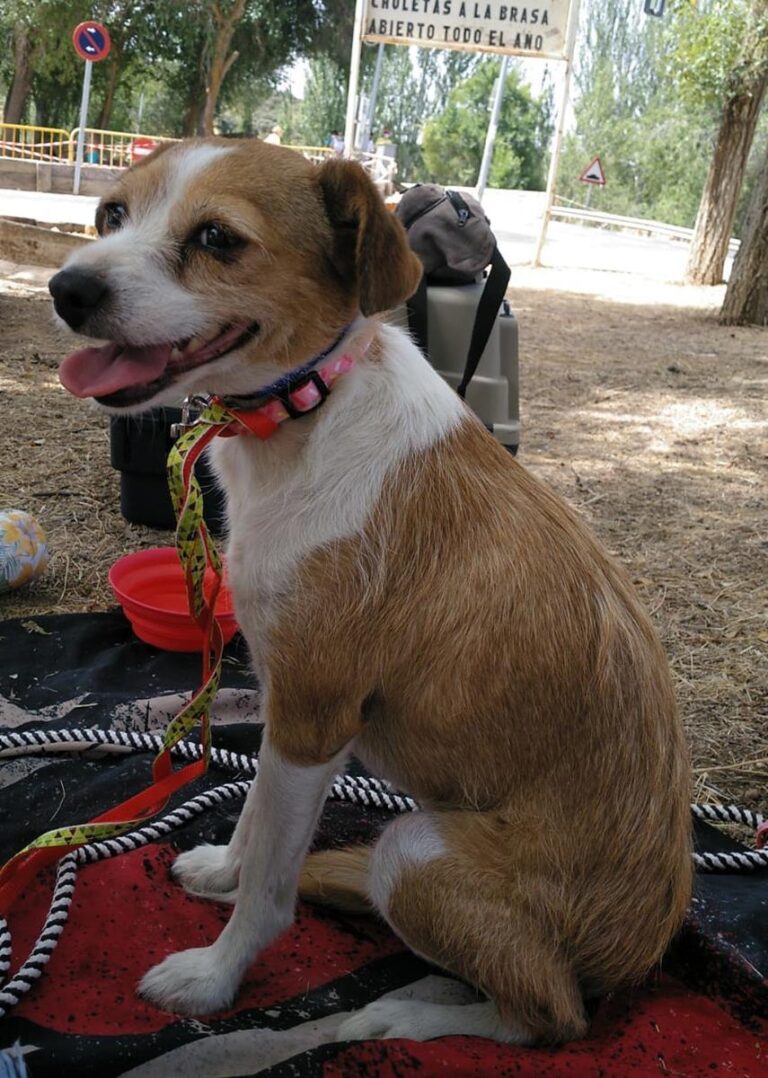 multimedia-foto65476-104-1