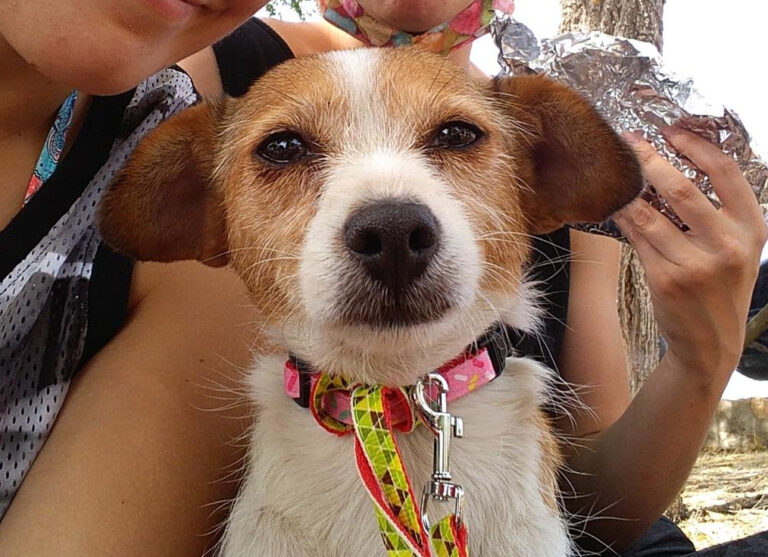 multimedia-foto65477-105-1