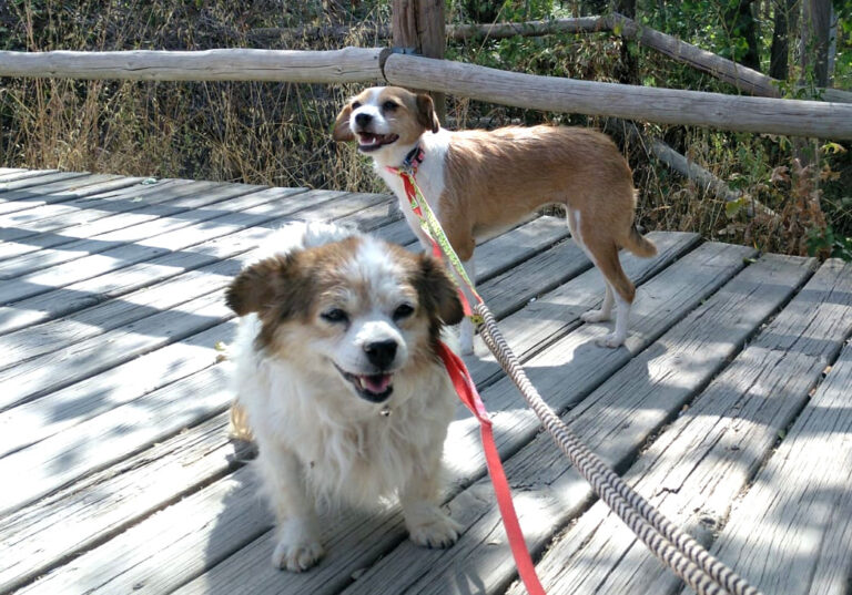 multimedia-foto65478-190-1