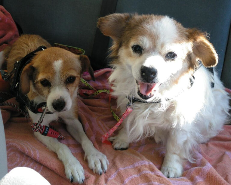 multimedia-foto65484-193-1