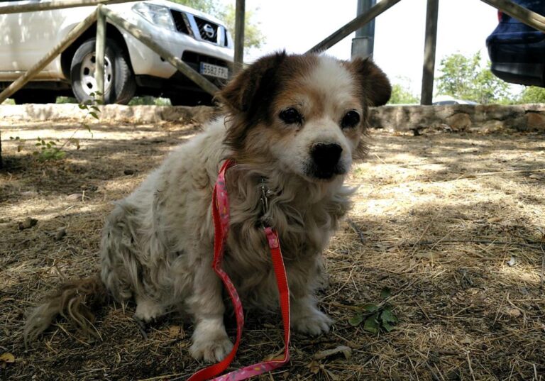 multimedia-foto65487-211-1