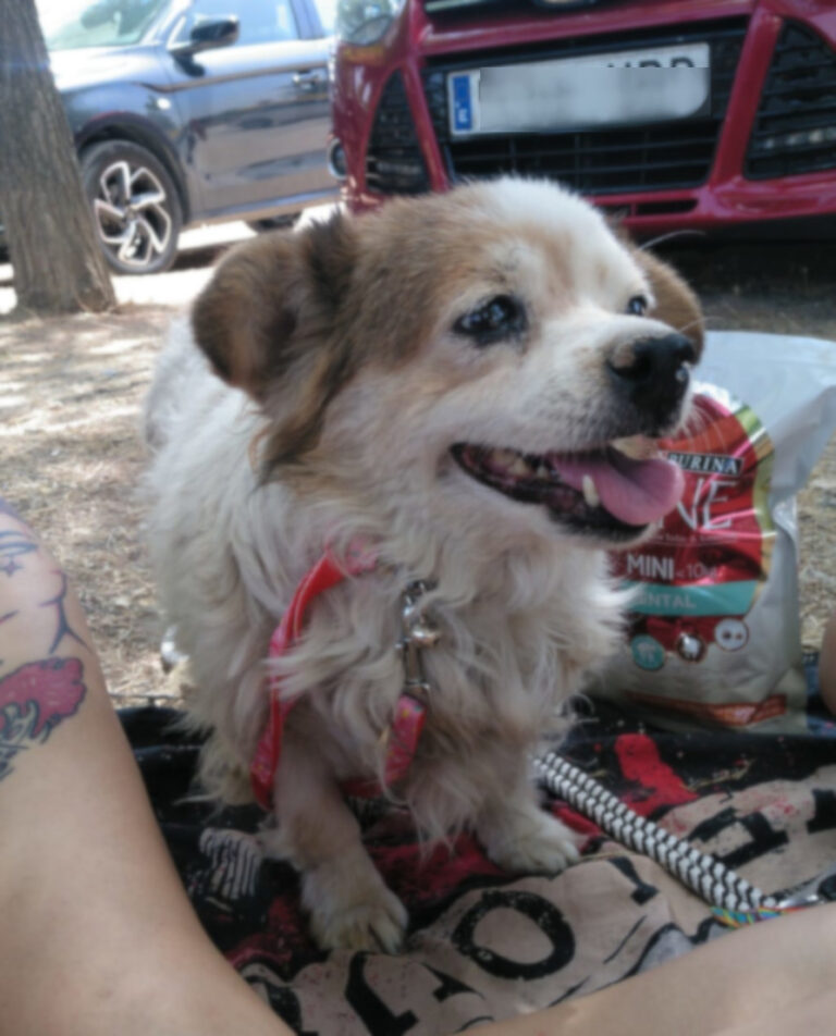 multimedia-foto65488-212-1