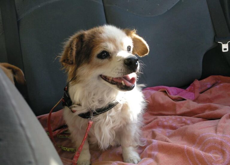 multimedia-foto65489-213-1