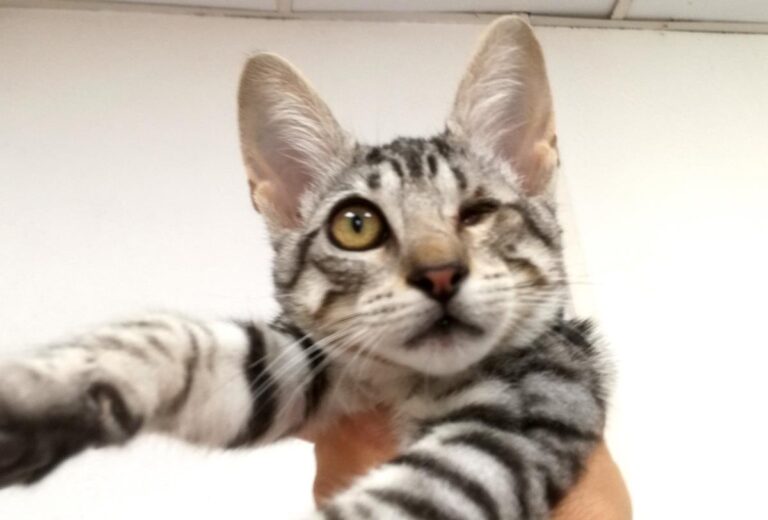 multimedia-foto65500-527-1