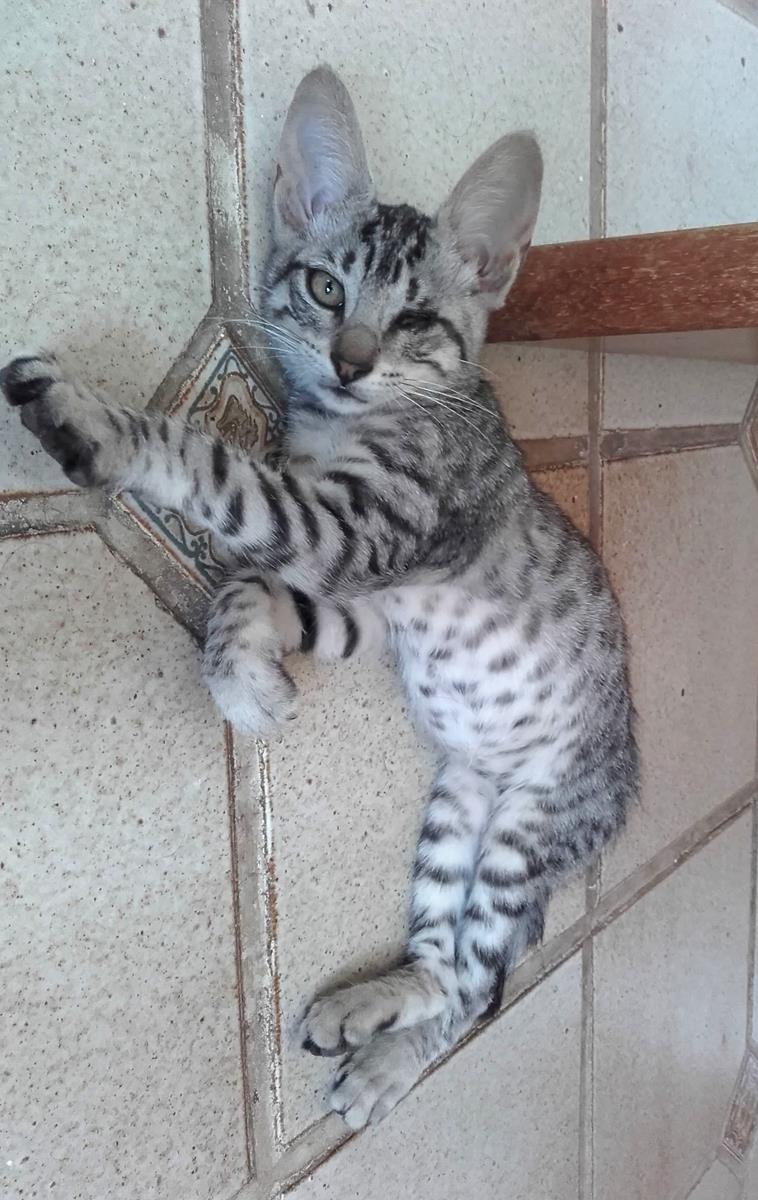 multimedia-foto65534-908-1