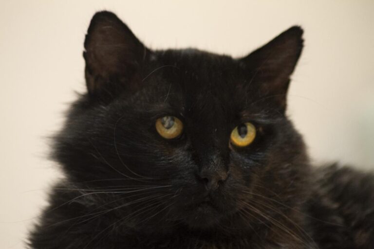 multimedia-foto65537-52-1