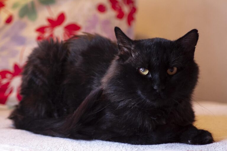 multimedia-foto65541-54-1