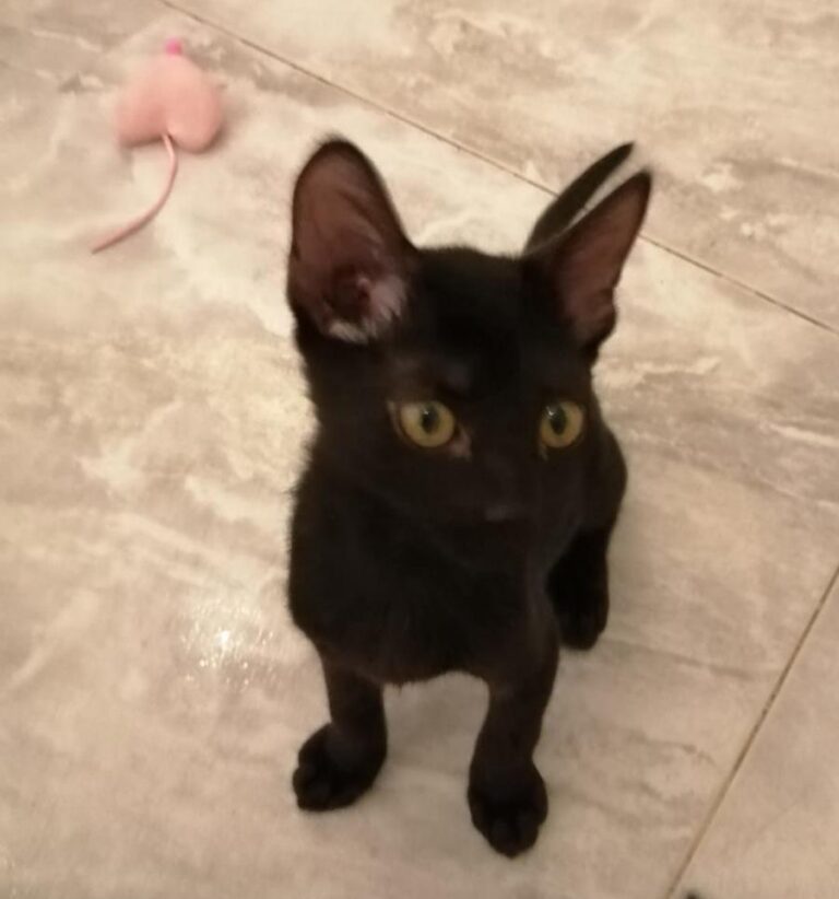 multimedia-foto65544-679-1