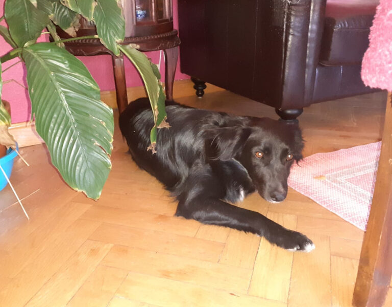 multimedia-foto65557-232-1