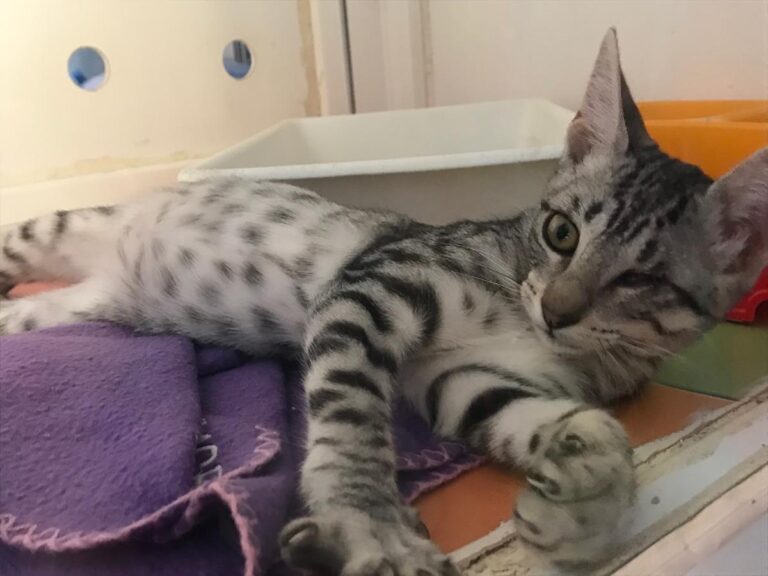 multimedia-foto65577-350-1