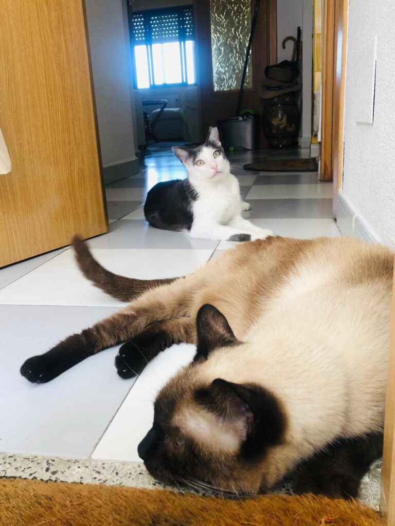 multimedia-foto65579-411-1