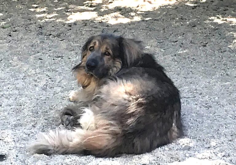 multimedia-foto65679-167-1