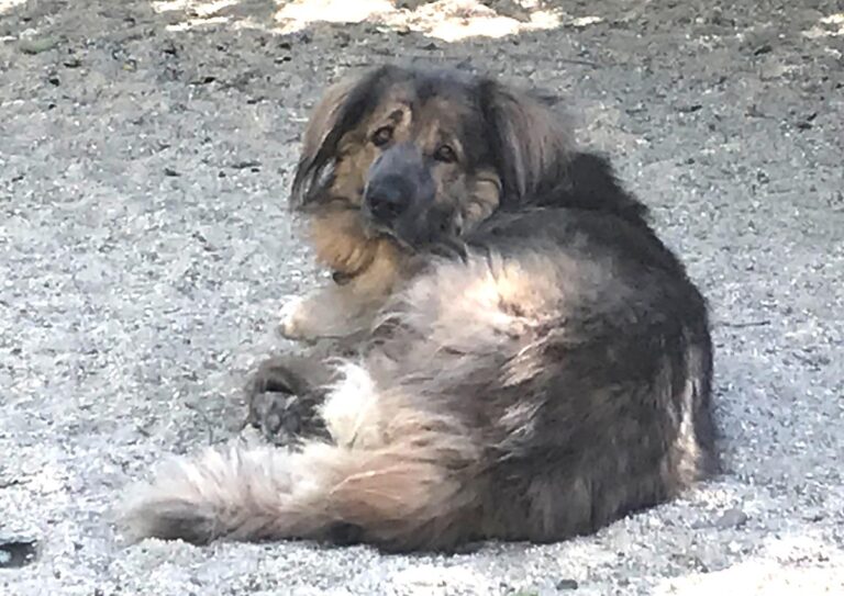 multimedia-foto65680-167-1