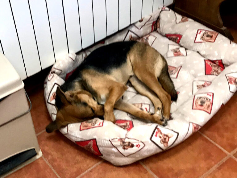 multimedia-foto65682-436-1