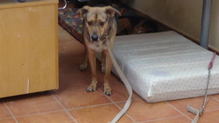 multimedia-foto65684-437-1