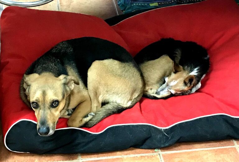 multimedia-foto65688-439-1