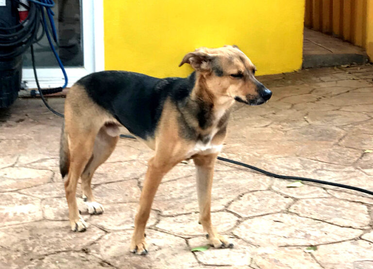 multimedia-foto65689-440-1