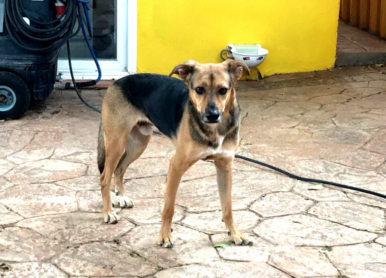 multimedia-foto65690-440-1