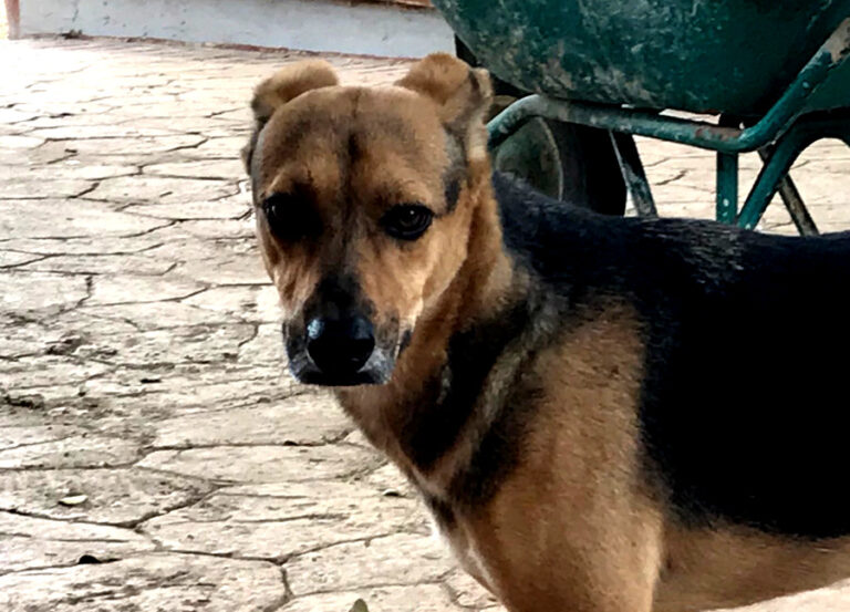 multimedia-foto65691-441-1