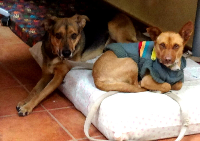 multimedia-foto65692-442-1