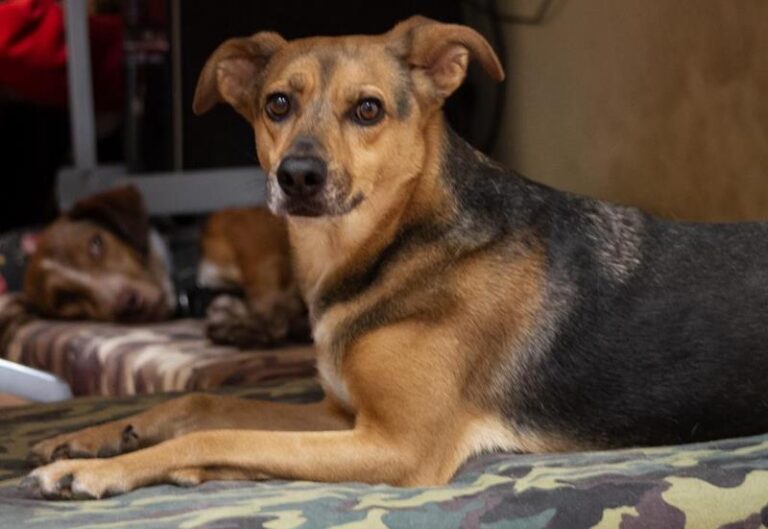 multimedia-foto65693-442-1