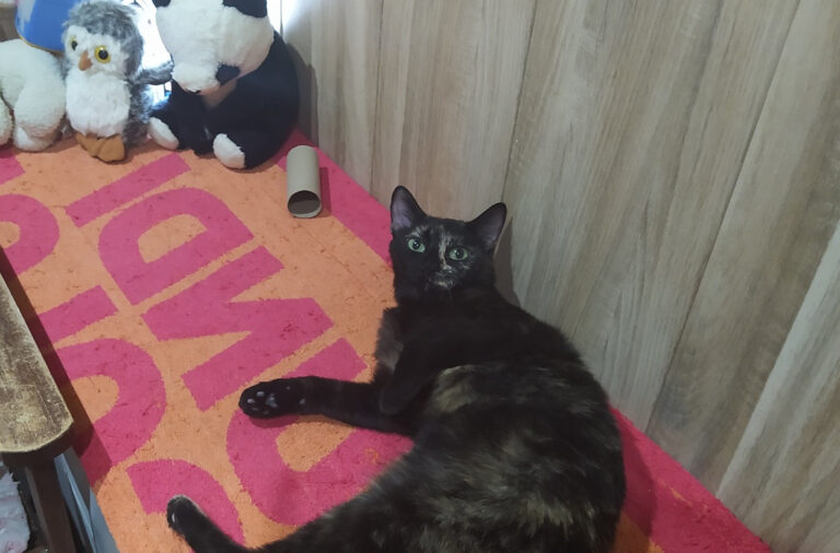 multimedia-foto65721-718-1